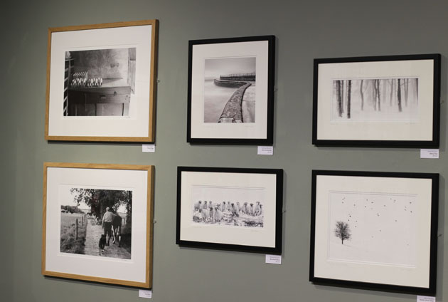 Photography at RyeScape Exhibition Photography at RyeScape Exhibition