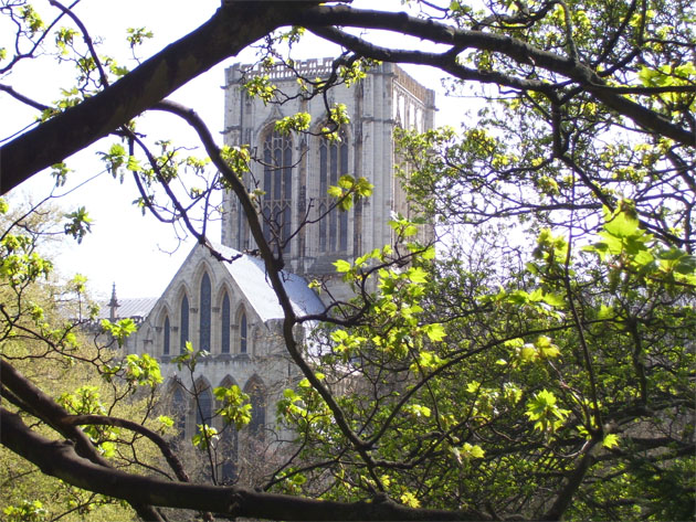 View of York Minster from Dean's Park