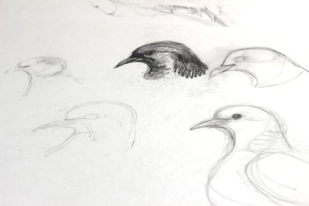 from my sketchbook - dove shapes